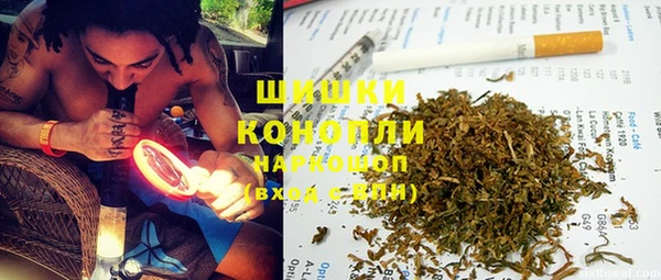 мдпв Бронницы