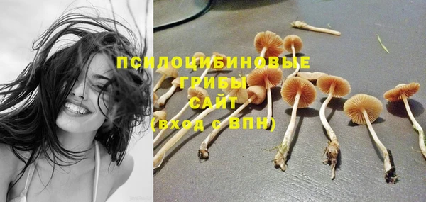 MDMA Бородино